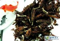 玉蘭花的藥用價(jià)值 消痰、益肺、和氣的自然之作