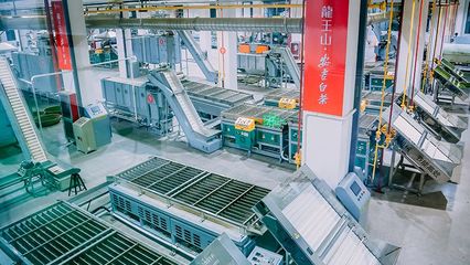 茶葉加盟 如何選擇靠譜品牌與抓住致富機(jī)會(huì)